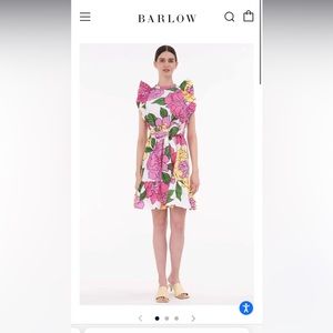 Womens Bulbul dress size small NWT